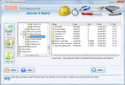 Professional Restore Software